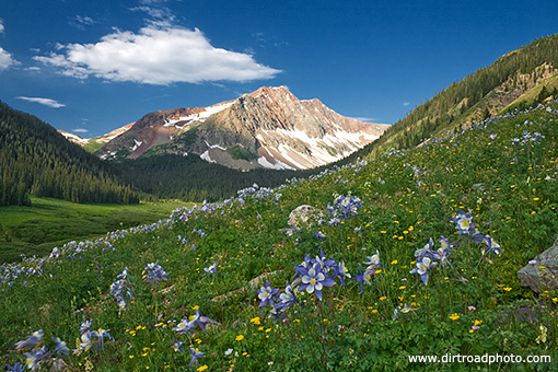 Rolling Mountain and columbines Rolling Mountain and columbines