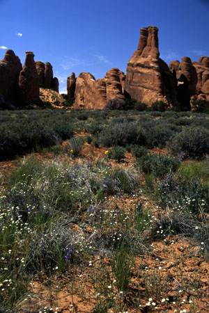 Arches National Park. (61.495 Byte)