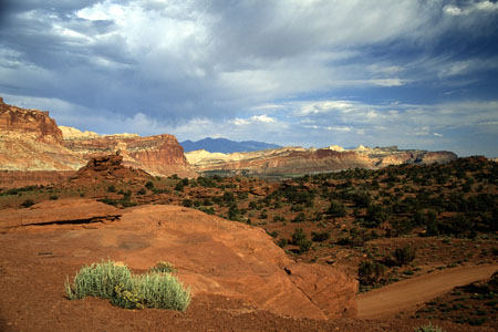 Capitol Reef (44.500 Byte)