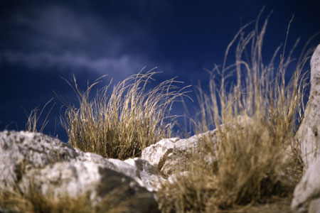 Guadalupe Mountains. (38.642 Byte)