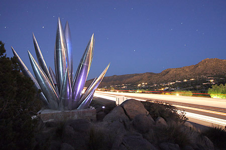 Aluminum Yucca.