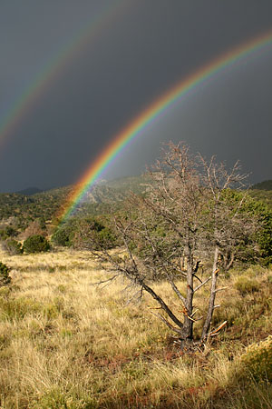 Regenbogen. (48.807 Byte)