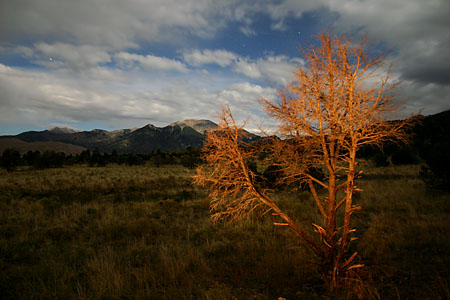 Im Mondlicht. Belichtungszeit: 94 Sekunden, f/3.5, ISO 100 Baum beläuchtet mit Taschenlampe. (42.436 Byte)