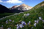 San Juan Mountains