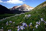 San Juan Mountains